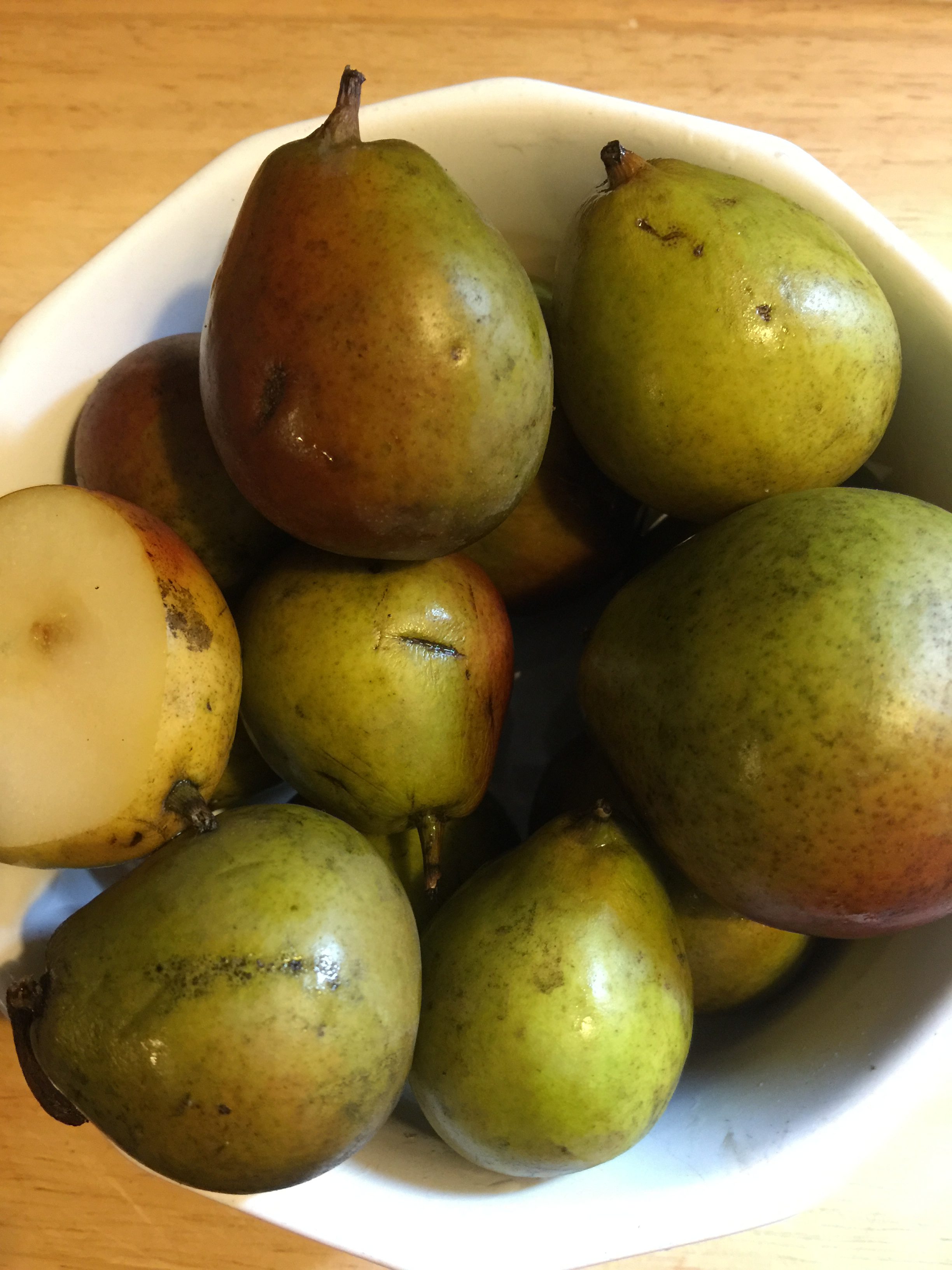 My Love Affair with Seckel Pears